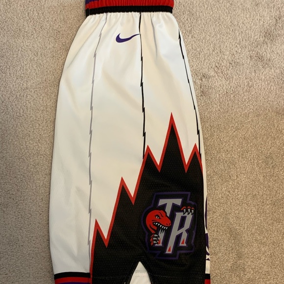 Toronto Raptors Mitchell and Ness Hardwood Classics Swingman Shorts - Picture 2 of 4